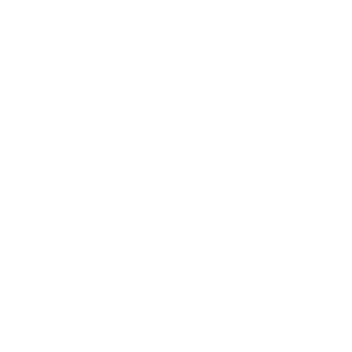 Icono vestido