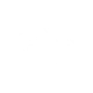 Icono sesión fotográfica